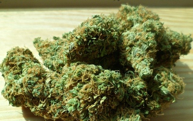 cannabis zeug
