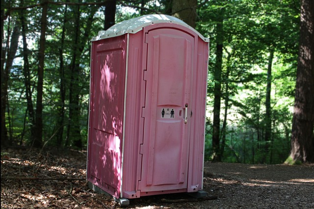 Toilette im Wald